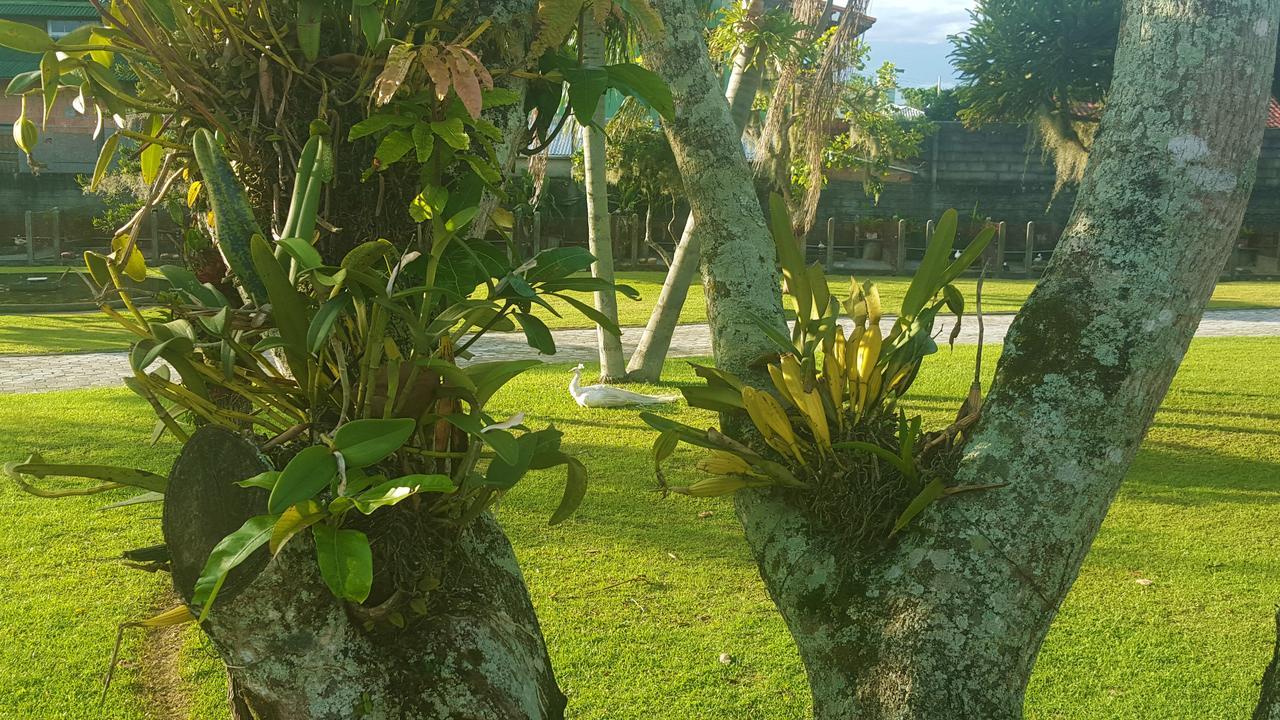 Pousada Pavao Branco Florianópolis Eksteriør bilde