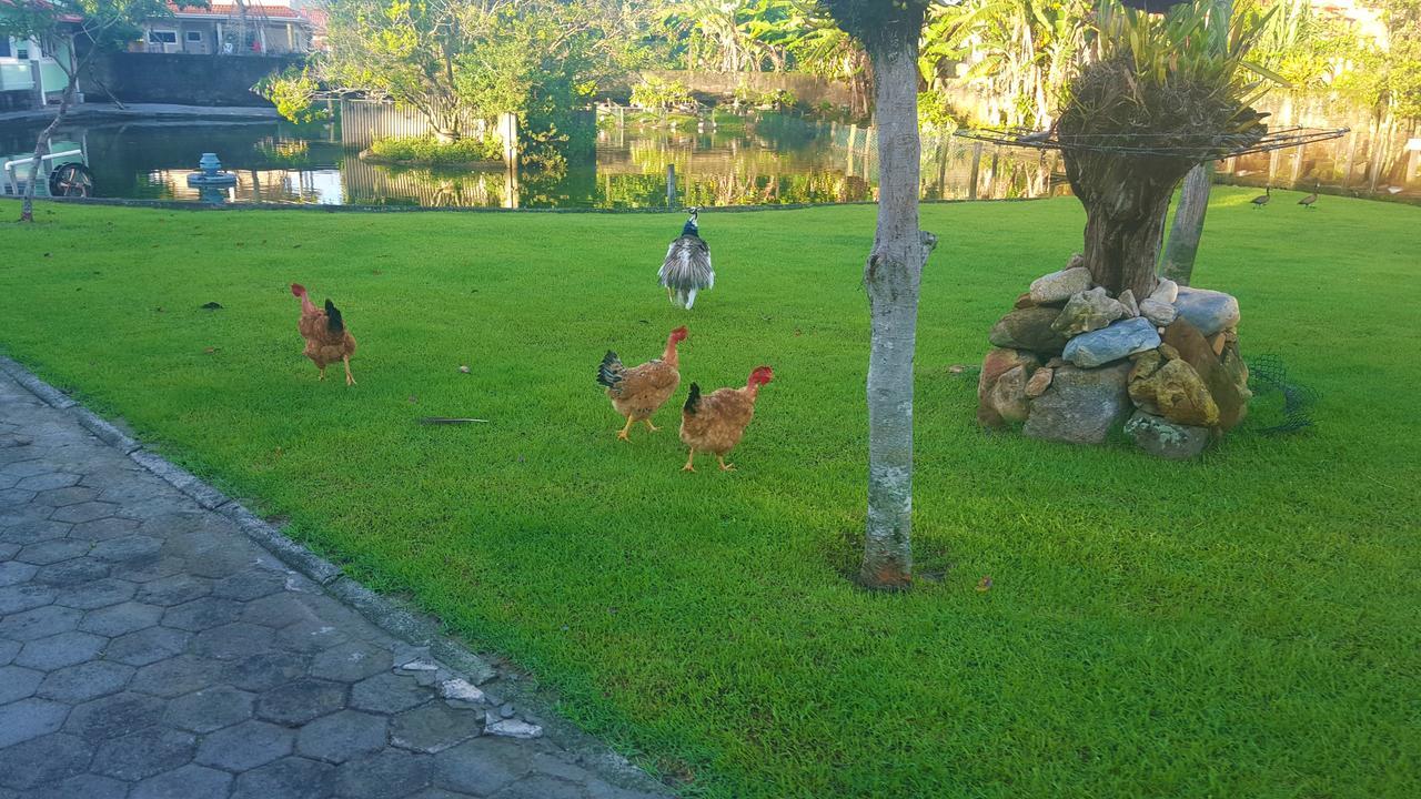 Pousada Pavao Branco Florianópolis Eksteriør bilde