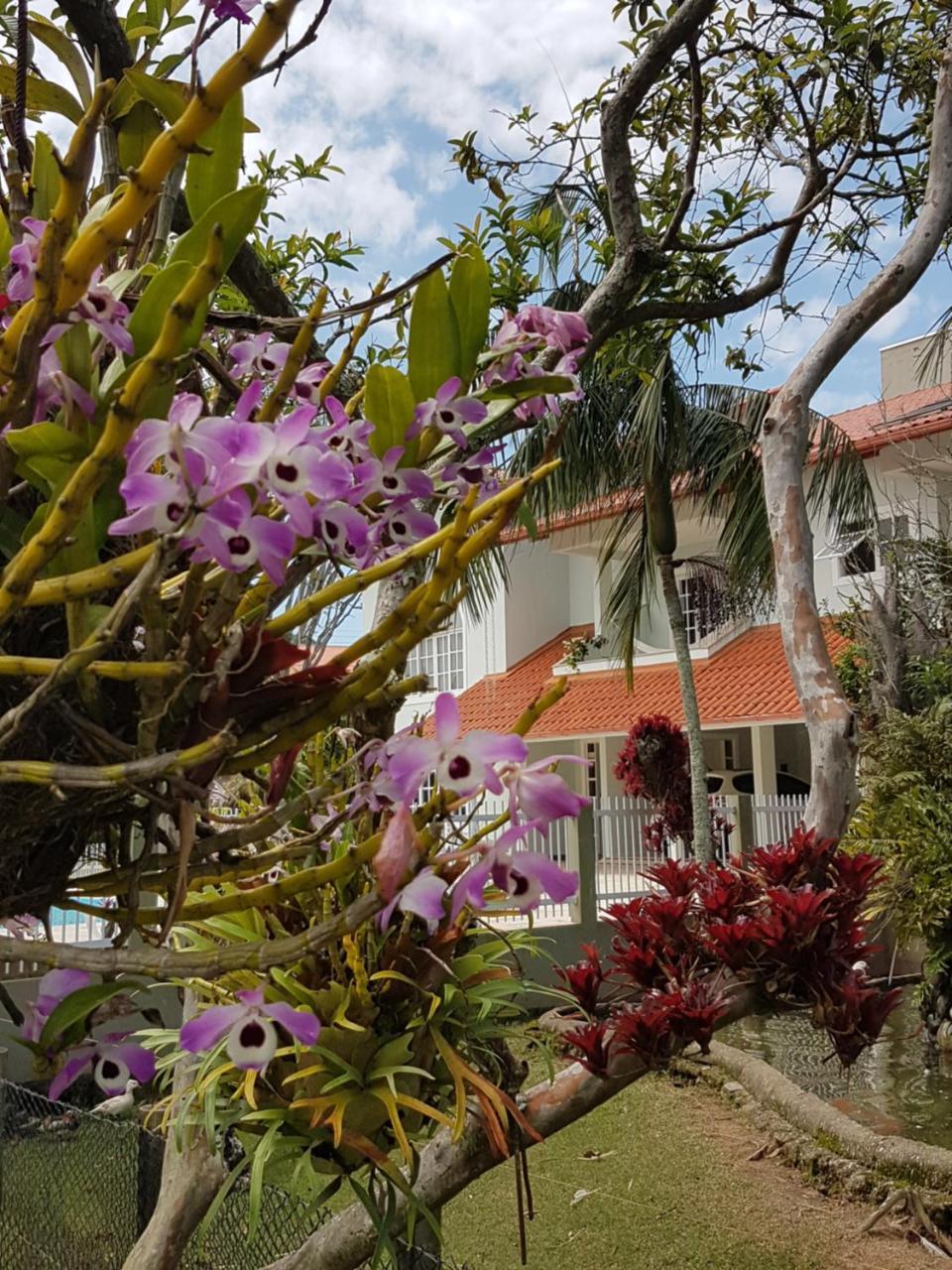 Pousada Pavao Branco Florianópolis Eksteriør bilde