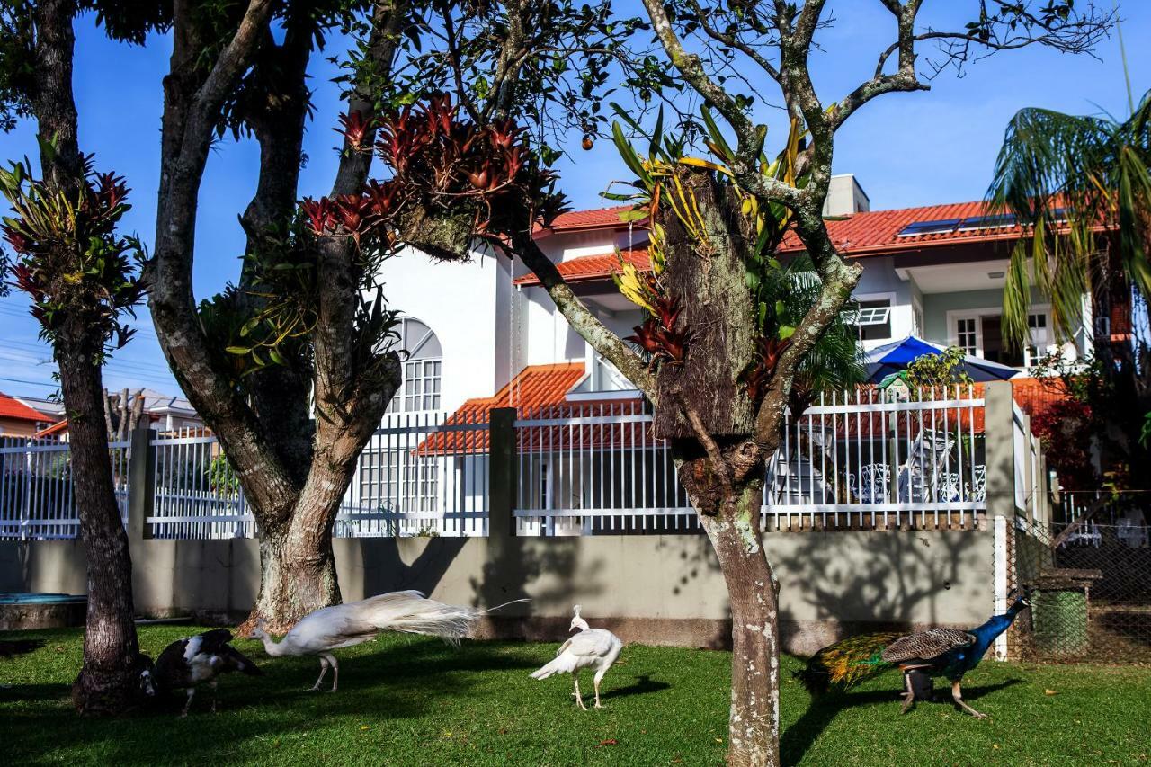 Pousada Pavao Branco Florianópolis Eksteriør bilde
